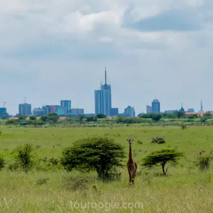 Nairobi tour