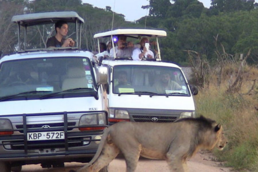 Exciting Group Sharing Safari