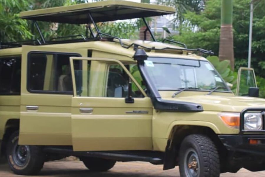 Uganda Gorilla Safari