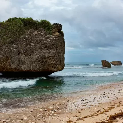 Barbados tour
