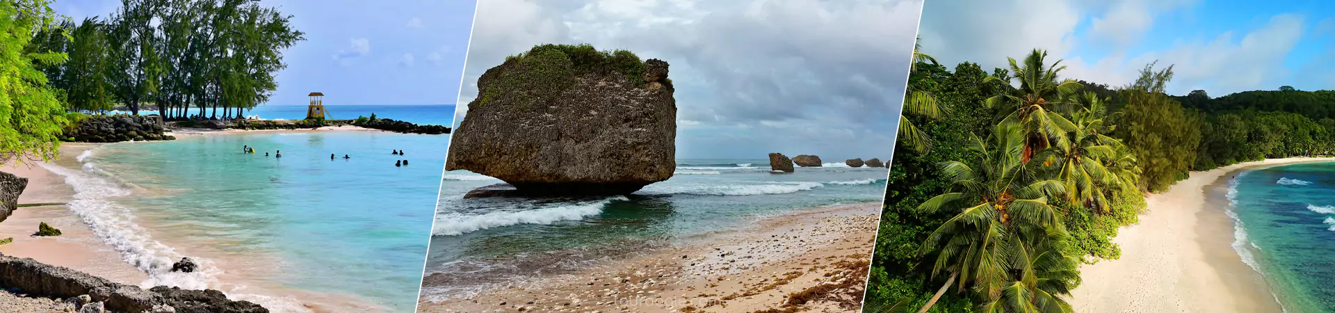 Barbados tour