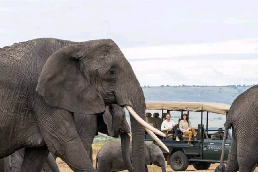 Magical Safari in Kenya and Tanzania