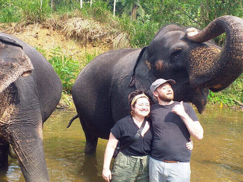 Explore Kandy City and Pinnawala