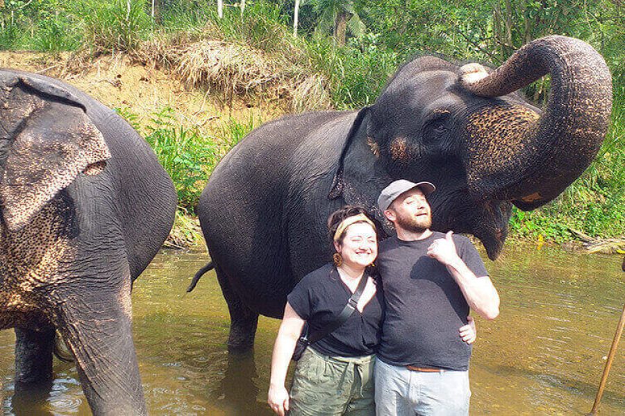 Explore Kandy City and Pinnawala