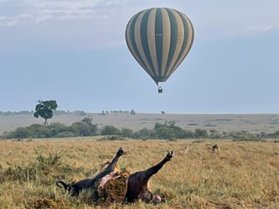 Day 1: Nairobi City to Masai Mara National Game Reserve Kenya.