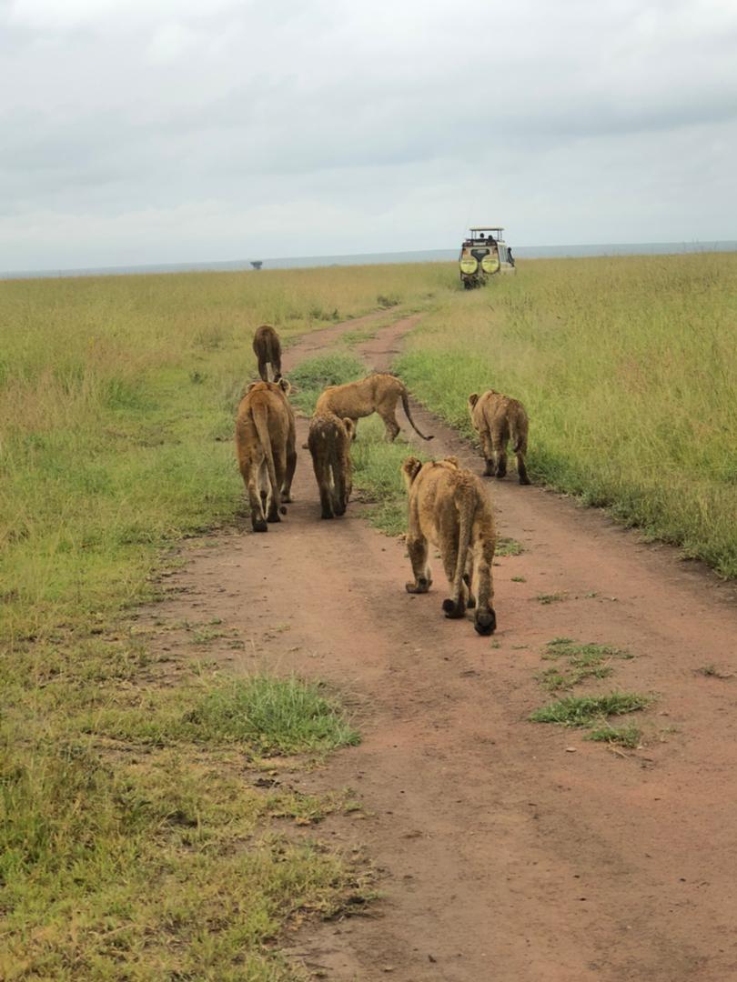 Day 1: Fly from Arusha to Serengeti National Park.
