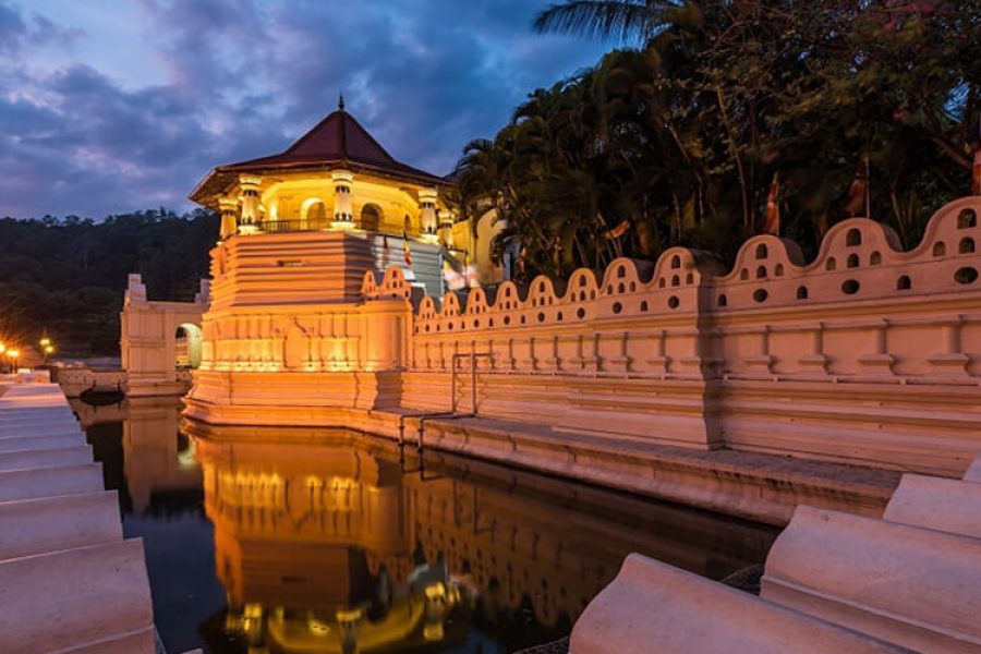 Nuwara Eliya and Ambewela Tour