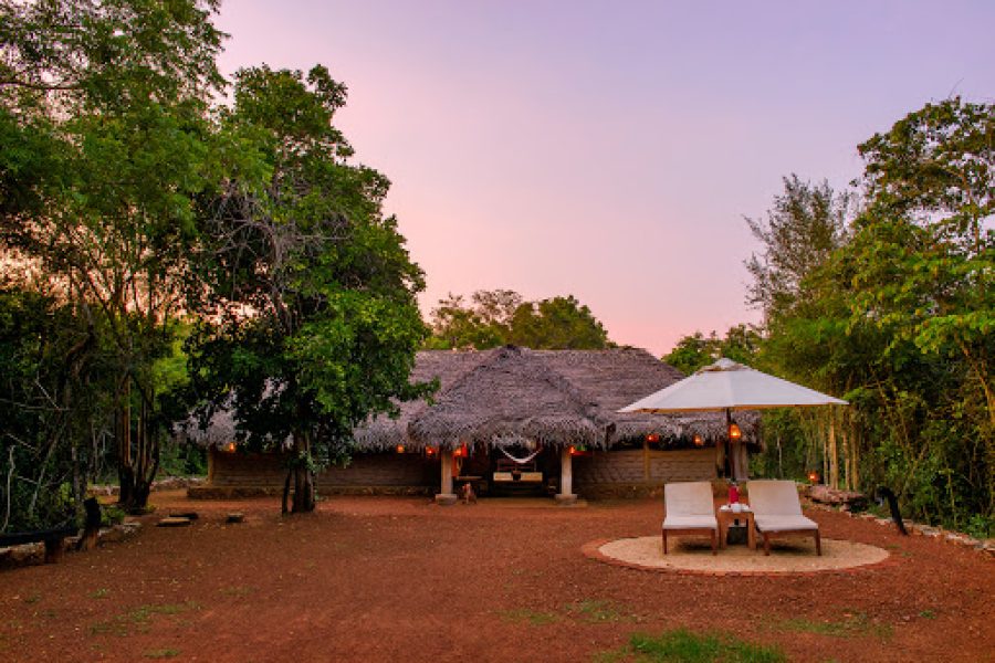 Wildlife and Village Safaris in Sri Lanka