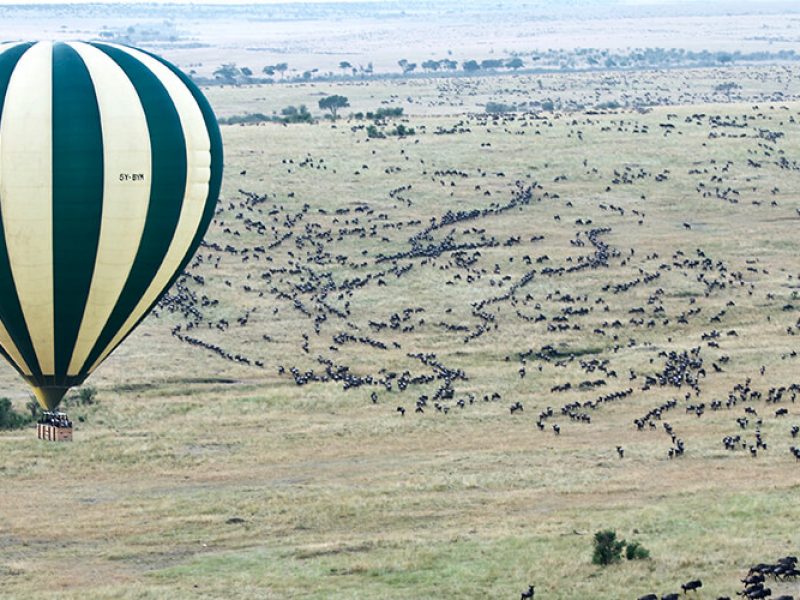 Masai Mara With Hot Air Balloon