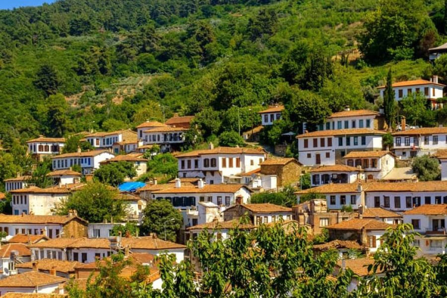 Arcane of Ephesus Tour from Kusadasi Port