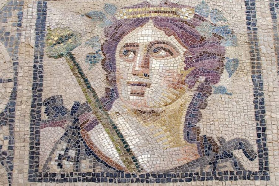 Ephesus the Trade Hub Tour from Kusadasi