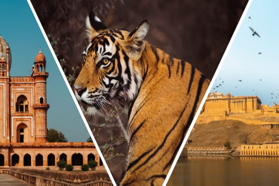 Golden Triangle Tour with Tiger Safari