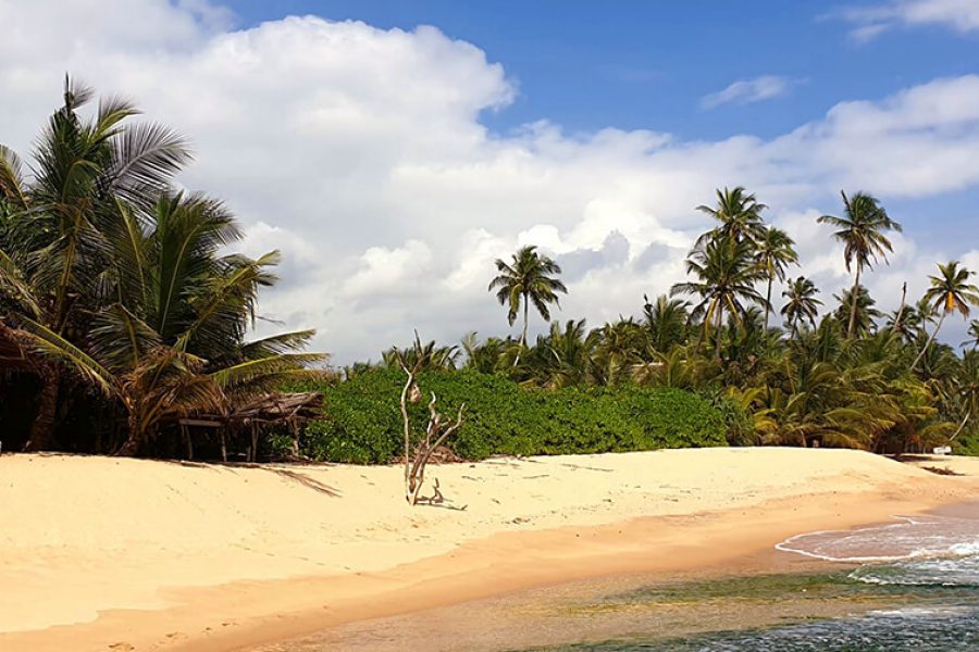 Grand Tour in Sri Lanka