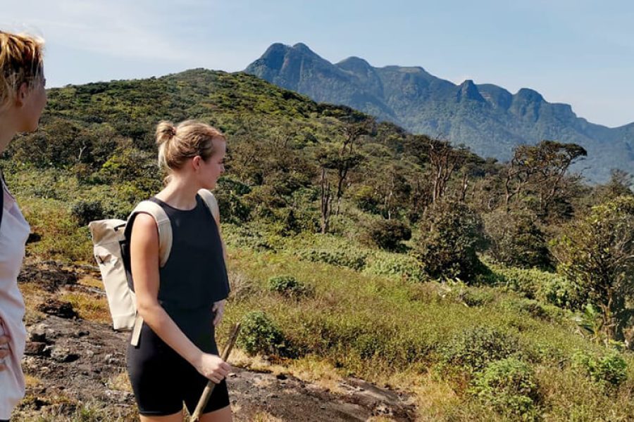 Private Jungle Expedition