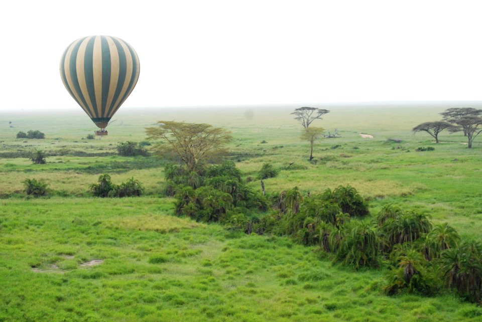 Day 3: Masai mara to Serengeti national park