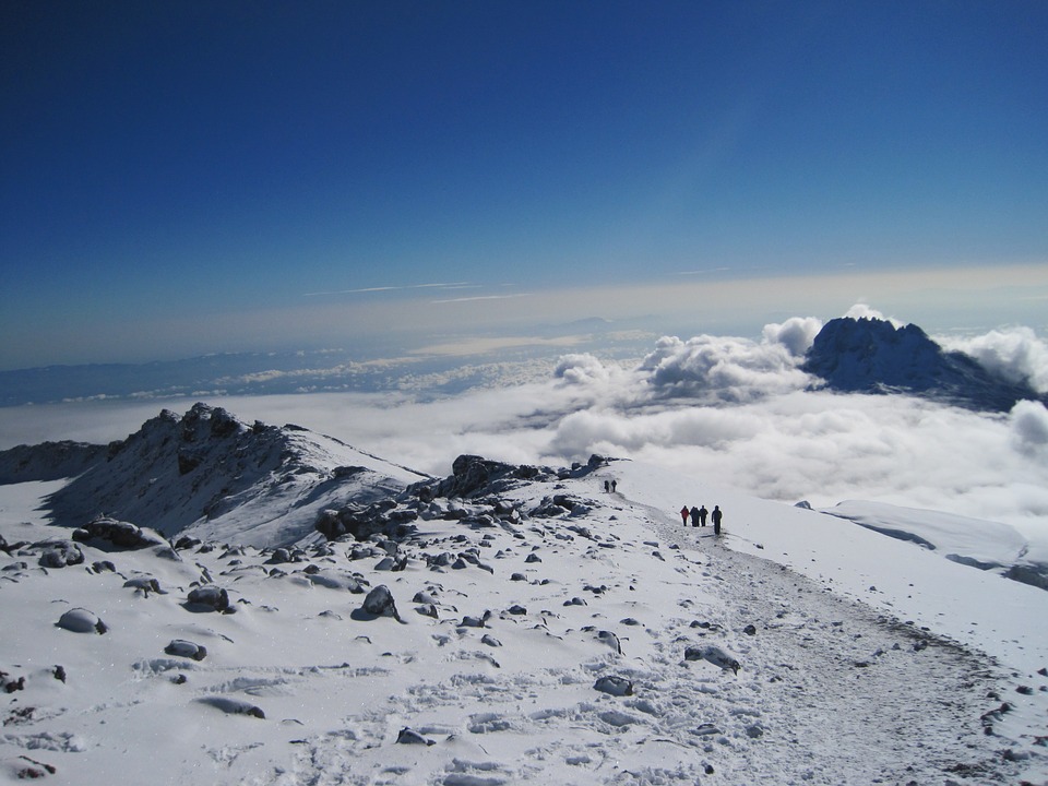 Day 6: Ascent to Uhuru Peak and Descent to Millennium Camp