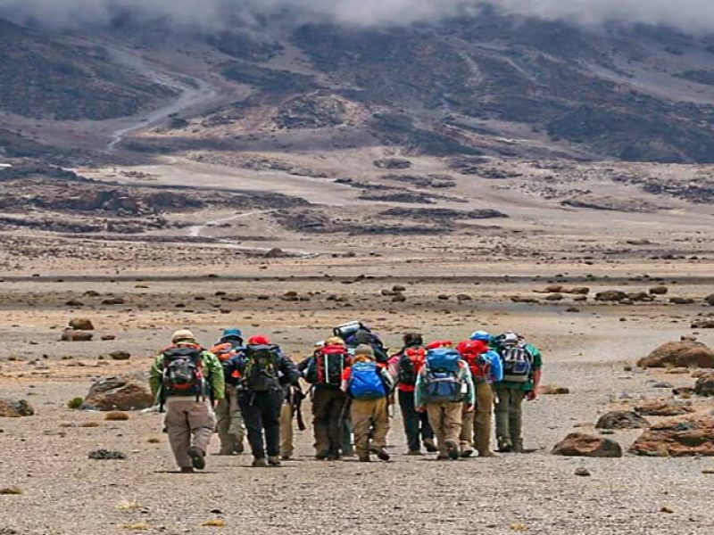 Rongai Route Kilimanjaro Trekking