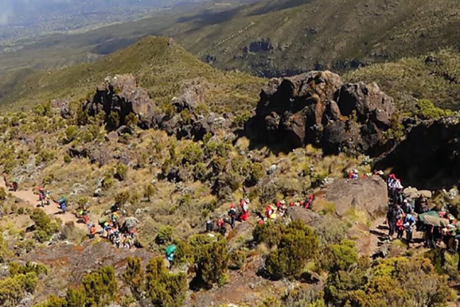 Kilimanjaro climb Machame route