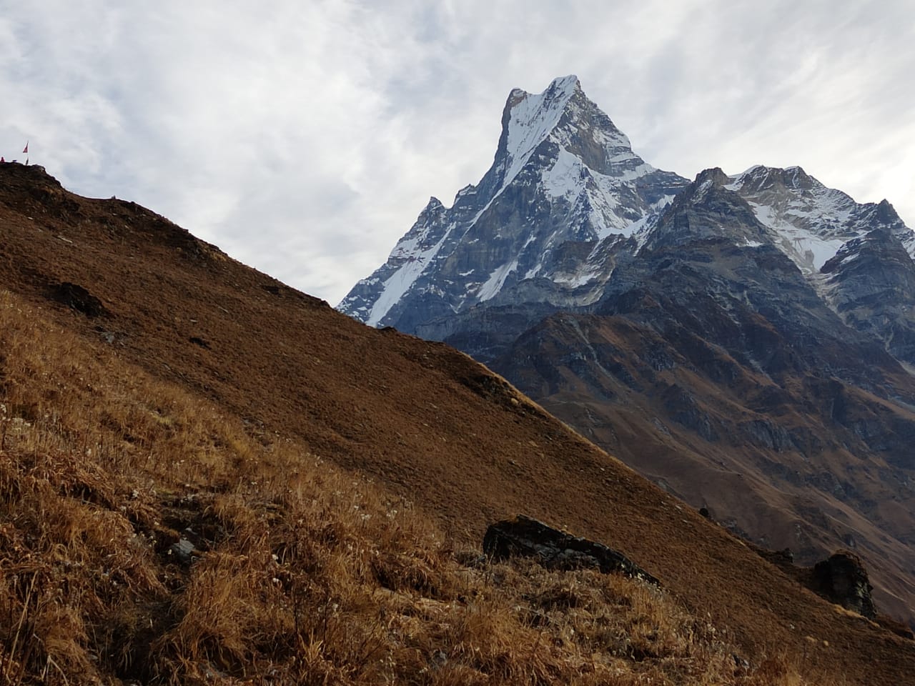 Day 06: High Camp trek to Mardi Himal Base Camp 4,500m 14,763ft