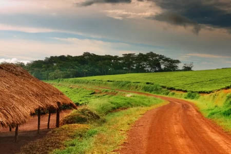 7 Awesome Things About Uganda