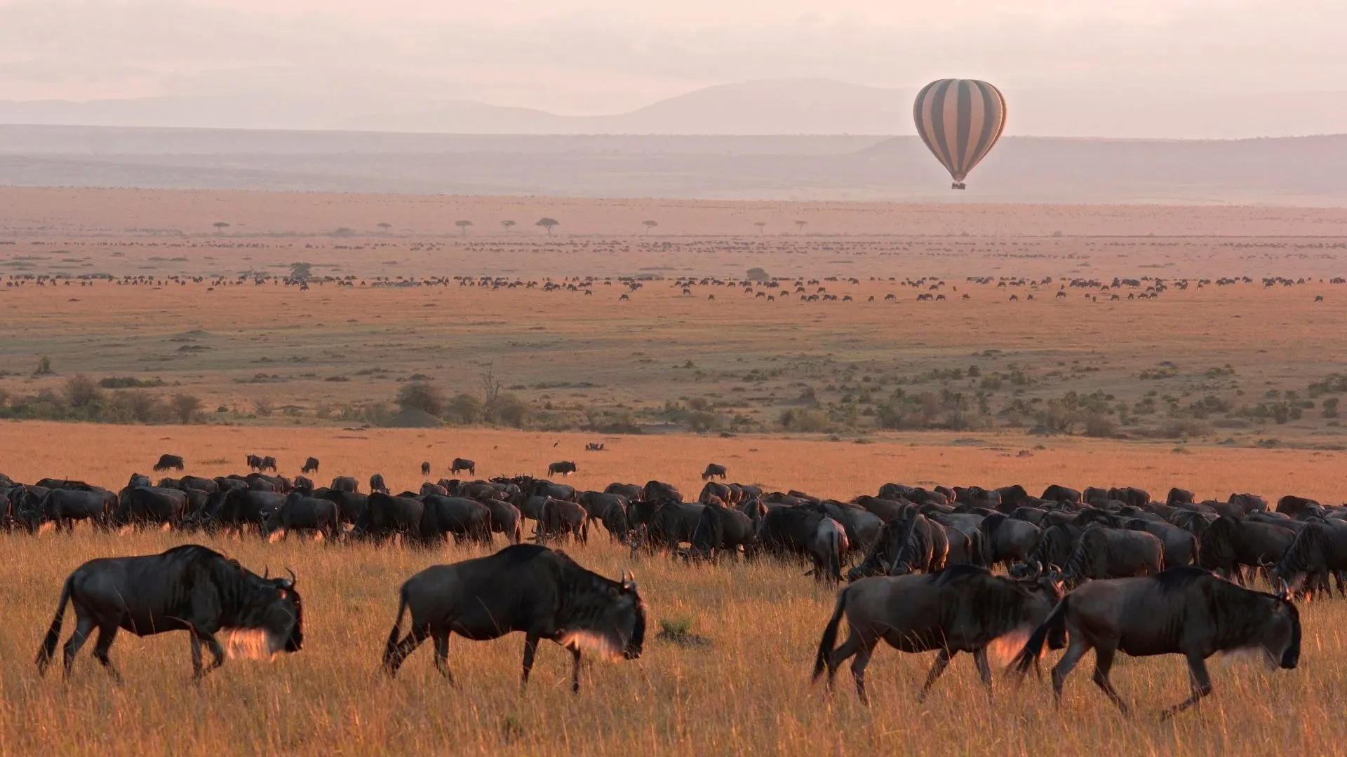 Best Kenya Safari Parks